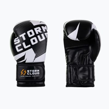 Guantoni da boxe StormCloud Bolt 3.0 black/white