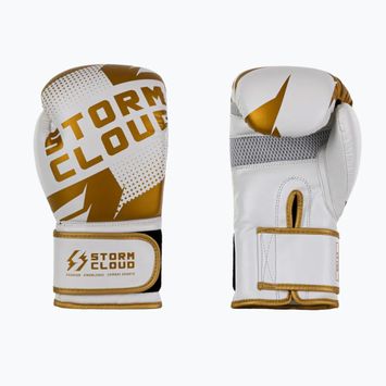 Guantoni da boxe StormCloud Bolt 3.0 white/gold