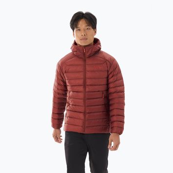 Piumino Arc'teryx Cerium Hoody Uomo sequoia/solaris