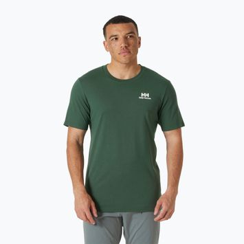 Maglietta Helly Hansen Nord Graphic verde giungla da uomo