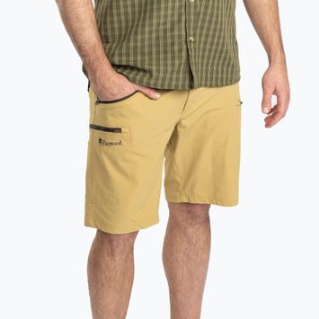 Pantaloncini da trekking da uomo Pinewood Abisko Light Stretch golday hay