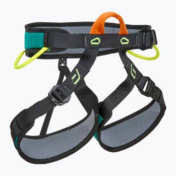 Imbracatura da arrampicata Climbing Technology Explorer verde/lime