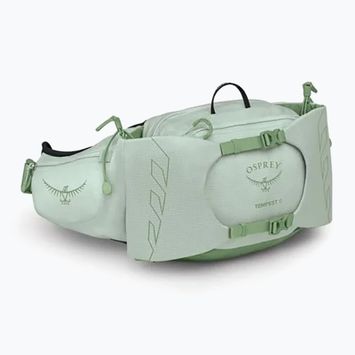 Osprey Tempest 6 l menta ghiacciata / verde botanica sacca renale