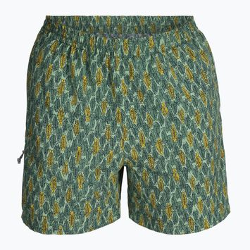 Royal Robbins All-In pantaloni da trekking da uomo algae flash pt