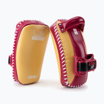 Disco da allenamento YOKKAO Free Style 2 pezzi mango/ceraso