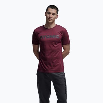 Maglietta Atomic Alps da uomo marrone