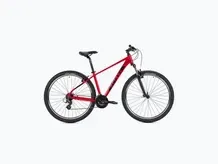 Bici