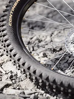 Pneumatici bici