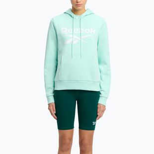 Felpa donna Reebok Identity Big Logo Fleece glitch aqua