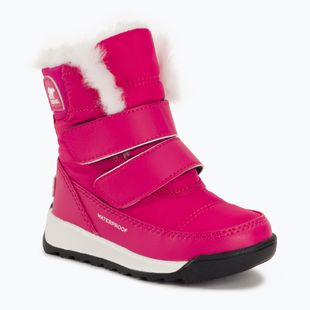 Sorel Whitney II Strap WP stivali da neve per bambini rosa cactus/nero