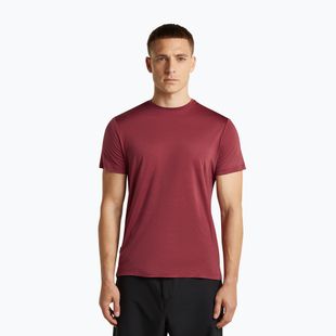 Maglietta da trekking uomo icebreaker Merino 125 Cool-Lite Sphere III port