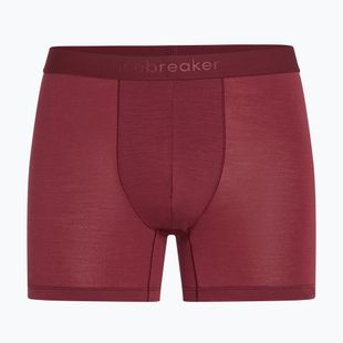 Boxer termici da uomo icebreaker Anatomica Boxers port