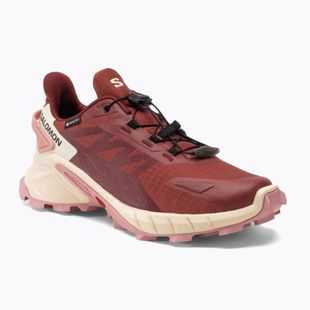Scarpe da corsa da donna Salomon Supercross 4 GTX pelle di mucca/syrah/blush