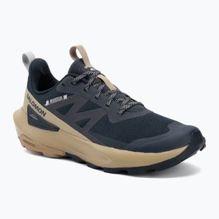 Scarpe da trekking da uomo Salomon Elixir Activ carbon/slate green/glacier