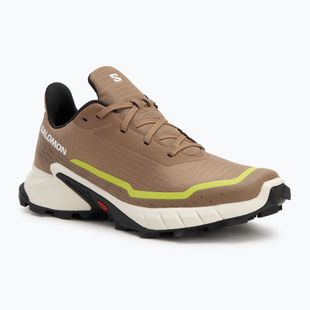 Scarpe da corsa da uomo Salomon Alphacross 5 caribù/canapa/zolfo