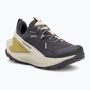 Scarpe da trekking da donna Salomon Elixir GTX 9 nove ferro/nuvola d'argento/spugna