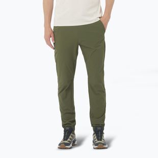 Pantaloni da trekking Salomon Wayfarer Ease da uomo in foglia d'uva