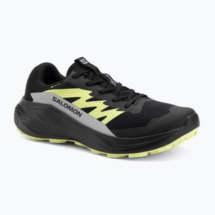 Scarpe da corsa da uomo Salomon Alphaglide GTX nero/alloy/verde acuto