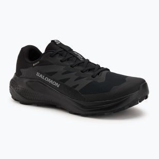Scarpe da corsa da uomo Salomon Alphaglide GTX nero/asfalto/nero