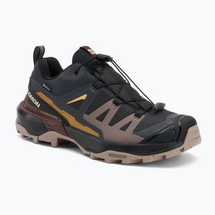 Scarpe da trekking da donna Salomon X Ultra 360 GTX phantom/iron/etherea