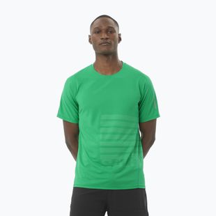 Maglietta da corsa Salomon Sense Aero Tee GFX Uomo parakeet / spearmintme