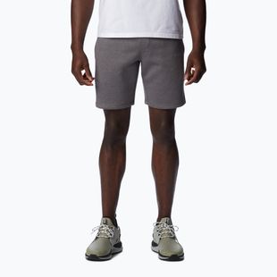 Pantaloncini da trekking Columbia Logo Fleece city grigio erica da uomo