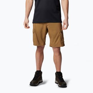 Pantaloncini da trekking Columbia Silver Ridge Utility Cargo delta uomo