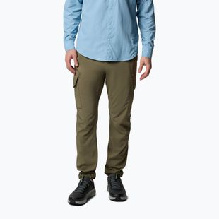 Pantaloni da trekking Columbia Skien Valley Cargo verde pietra da uomo