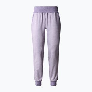 Pantaloni da trekking da donna The North Face Juniper Basin Jogger ardesia lunare