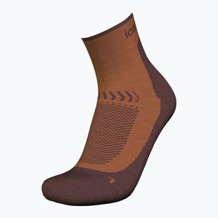Calzini da trekking Icebreaker Merino Hike+ Light Mini dusty clay/carob da uomo