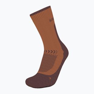 Calze da trekking Icebreaker da donna Merino Hike+ Light Crew dusty clay/carob