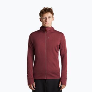 Felpa da uomo Icebreaker Merino 260 Quantum IV LS Zip Hoodie port/agate