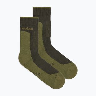Calze da uomo Icebreaker Merino Hike+ Medium Crew dark loden/sphagnum