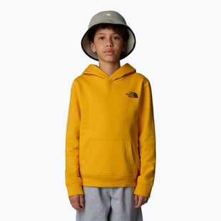 Felpa da bambino The North Face Teen Redbox Regular P/O summit gold