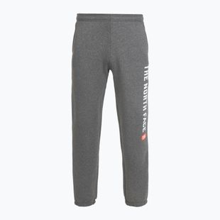 Pantaloni da uomo The North Face Varsity Graphic grigio erica medio