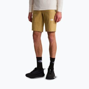 Pantaloncini da trekking da uomo The North Face Lightning SHT khaki stone/npf