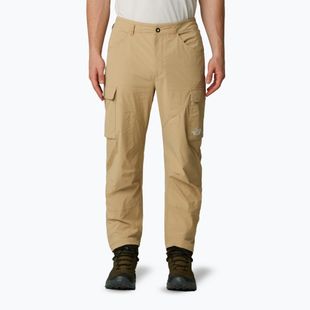 Pantaloni da trekking da uomo The North Face Exploration Cargo kaki stone