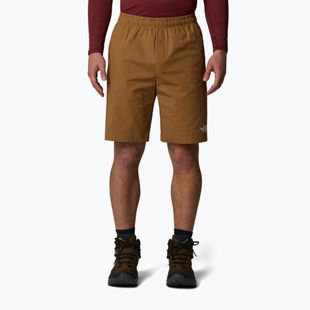 Pantaloncini da uomo The North Face Limestone utility brown