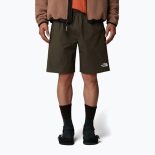 Pantaloncini da uomo The North Face Limestone new taupe green