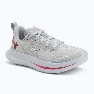 Under Armour Velociti 4 SE scarpe da corsa da donna halo gray/mod gray/shaded fuchsia