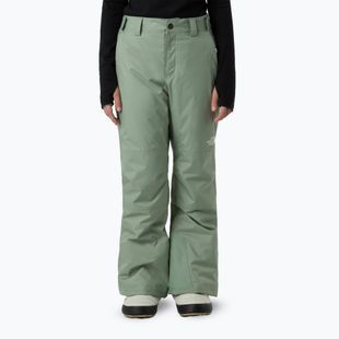 Pantaloni da sci per bambini The North Face Freedom Insulated slate moss