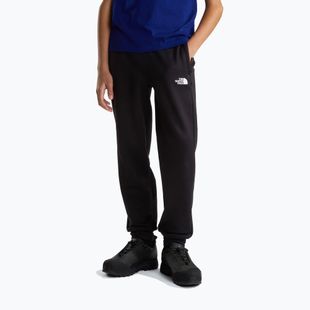 Pantaloni da uomo The North Face Performance Fleece Jogger tnf black