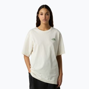 T-shirt uomo The North Face NSE Slopes Relaxed Tee Graphic white dune