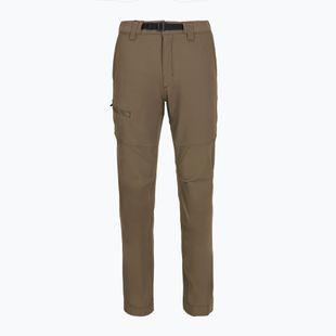 Pantaloni da trekking Patagonia Terravia Peak da donna - Regolari marrone marocco