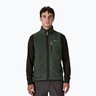 Gilet da uomo Patagonia Retro Pile Fleece old growth green