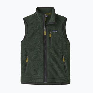 Gilet da uomo Patagonia Retro Pile Fleece old growth green