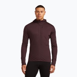 Felpa Icebreaker Merino 200 RealFleece Descender Zip Hoodie java trekking da uomo