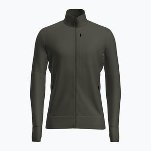 Felpa da trekking uomo Icebreaker Merino 260 Quantum IV LS Zip dark loden