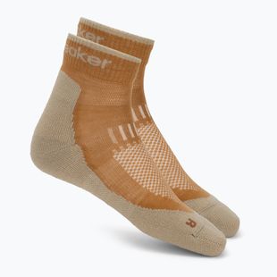 Calzini da uomo Icebreaker Merino Hike+ Light Mini trail/flagstone