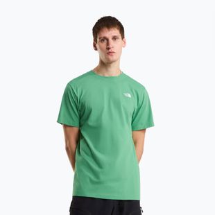Maglietta da uomo The North Face Evolution Simple Dome dimmed algae